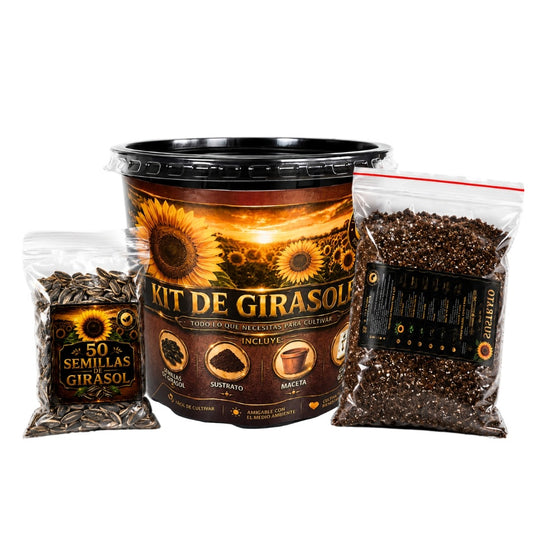 Kit de girasol AndinaMall: cubeta, 50 semillas y sustrato para cultivar